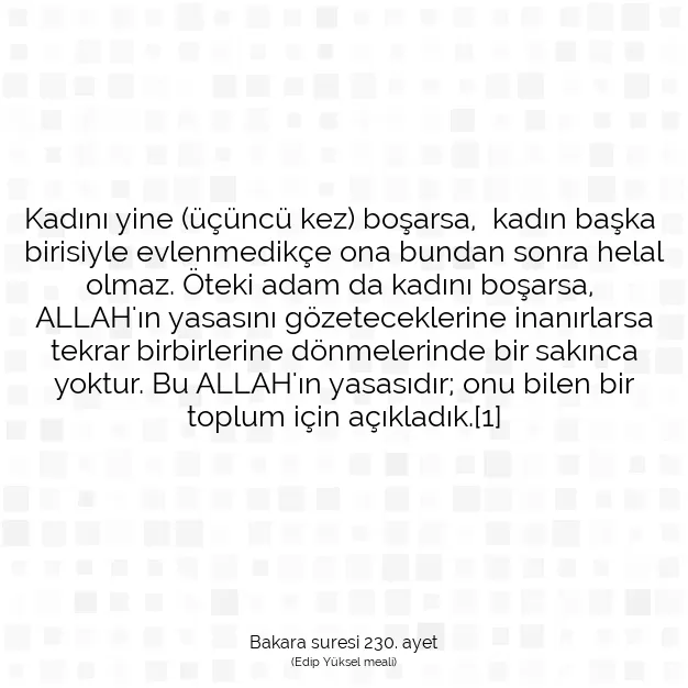 Ayetbul | Kuran Mealleri | Quran | Bakara suresi 230. ayet