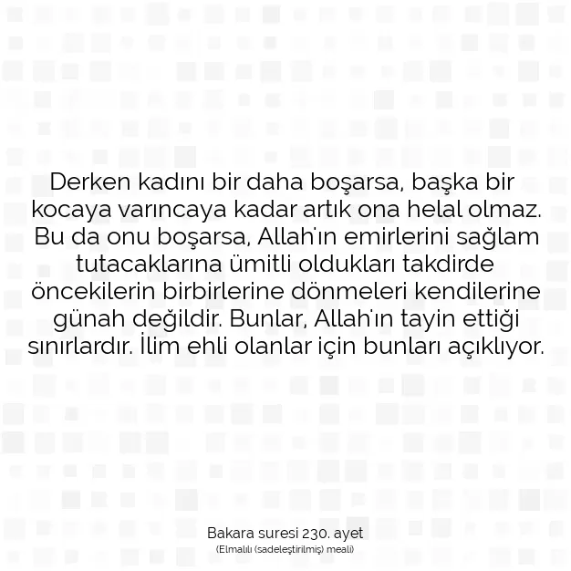 Ayetbul | Kuran Mealleri | Quran | Bakara suresi 230. ayet