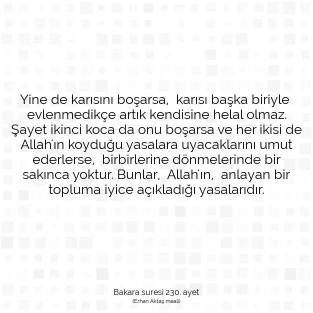 Ayetbul | Kuran Mealleri | Quran | Bakara suresi 230. ayet