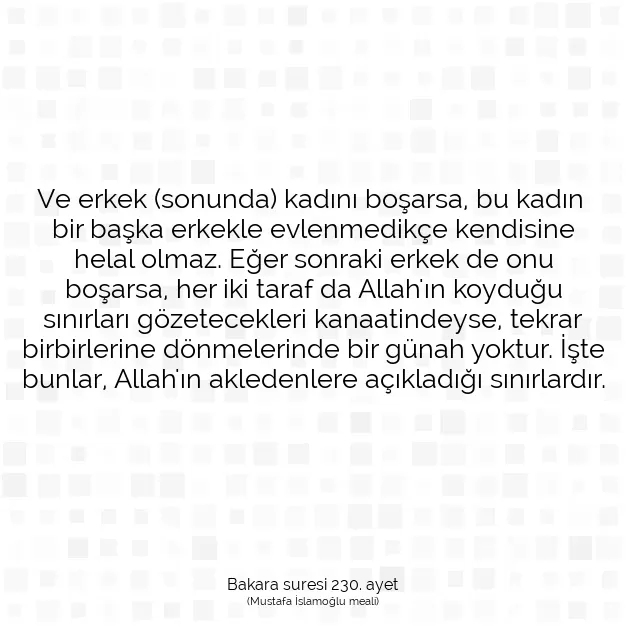 Ayetbul | Kuran Mealleri | Quran | Bakara suresi 230. ayet