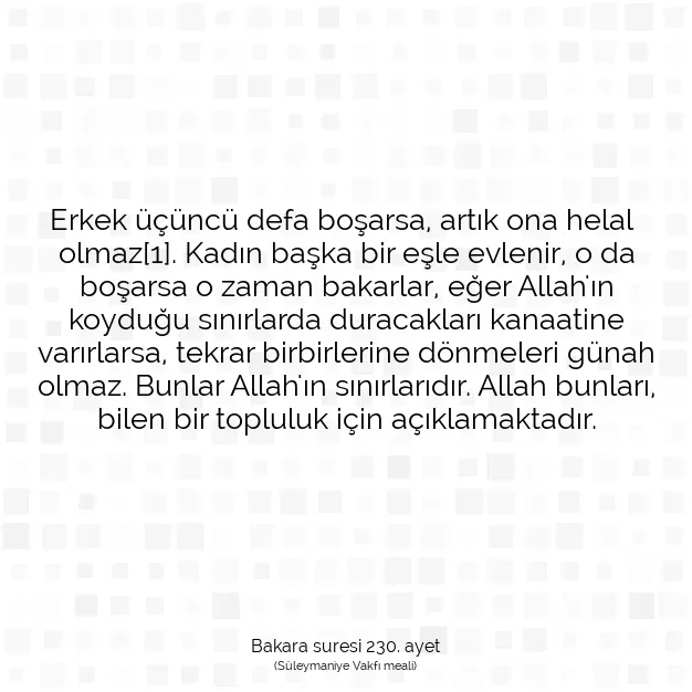 Ayetbul | Kuran Mealleri | Quran | Bakara suresi 230. ayet