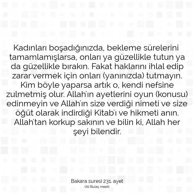 Ayetbul | Kuran Mealleri | Quran | Bakara suresi 231. ayet