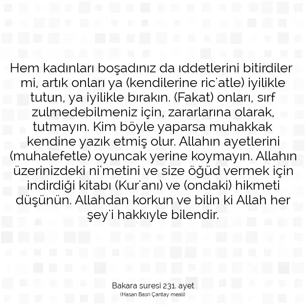 Ayetbul | Kuran Mealleri | Quran | Bakara suresi 231. ayet