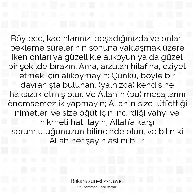 Ayetbul | Kuran Mealleri | Quran | Bakara suresi 231. ayet