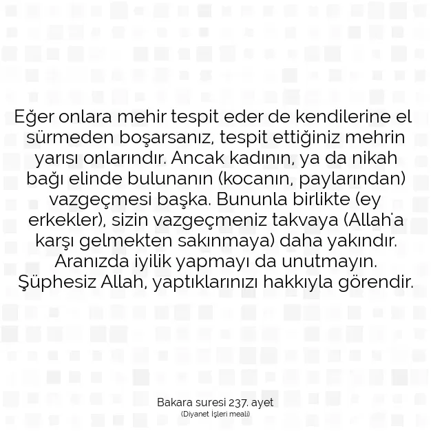 Ayetbul | Kuran Mealleri | Quran | Bakara suresi 237. ayet