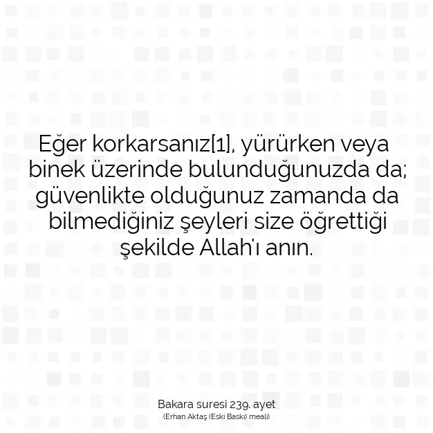 Ayetbul | Kuran Mealleri | Quran | Bakara suresi 239. ayet