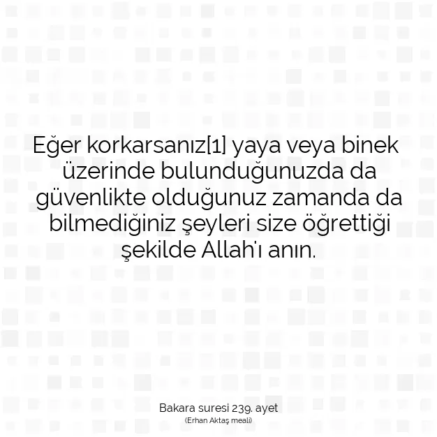 Ayetbul | Kuran Mealleri | Quran | Bakara suresi 239. ayet