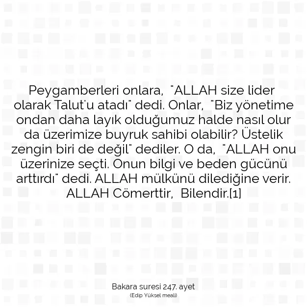 Ayetbul | Kuran Mealleri | Quran | Bakara suresi 247. ayet