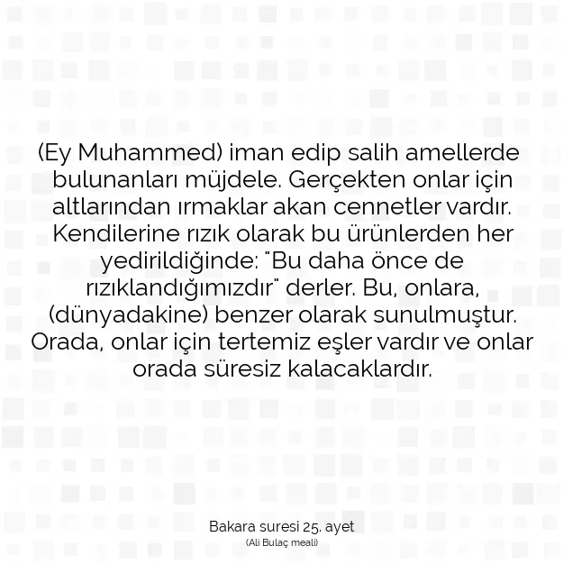 Ayetbul | Kuran Mealleri | Quran | Bakara suresi 25. ayet