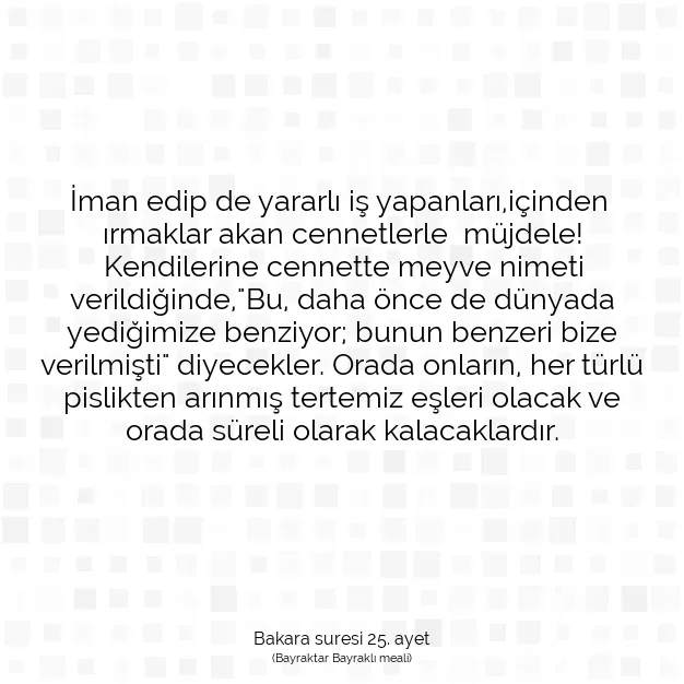 Ayetbul | Kuran Mealleri | Quran | Bakara suresi 25. ayet