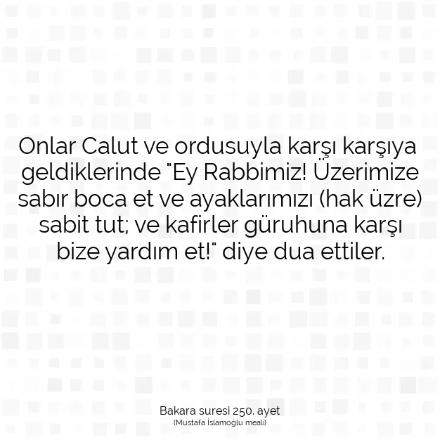 Ayetbul | Kuran Mealleri | Quran | Bakara suresi 250. ayet