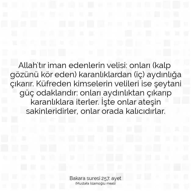 Ayetbul | Kuran Mealleri | Quran | Bakara suresi 257. ayet