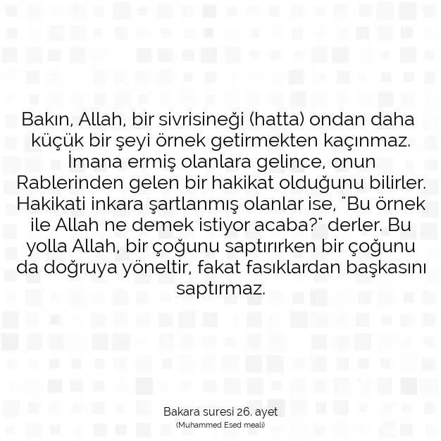 Ayetbul | Kuran Mealleri | Quran | Bakara suresi 26. ayet