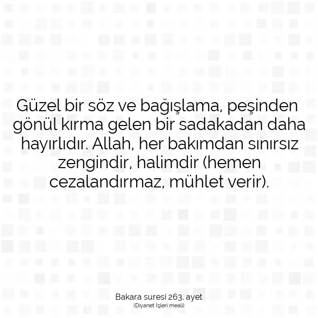 Ayetbul | Kuran Mealleri | Quran | Bakara suresi 263. ayet