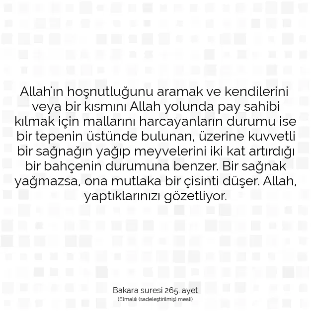 Ayetbul | Kuran Mealleri | Quran | Bakara suresi 265. ayet