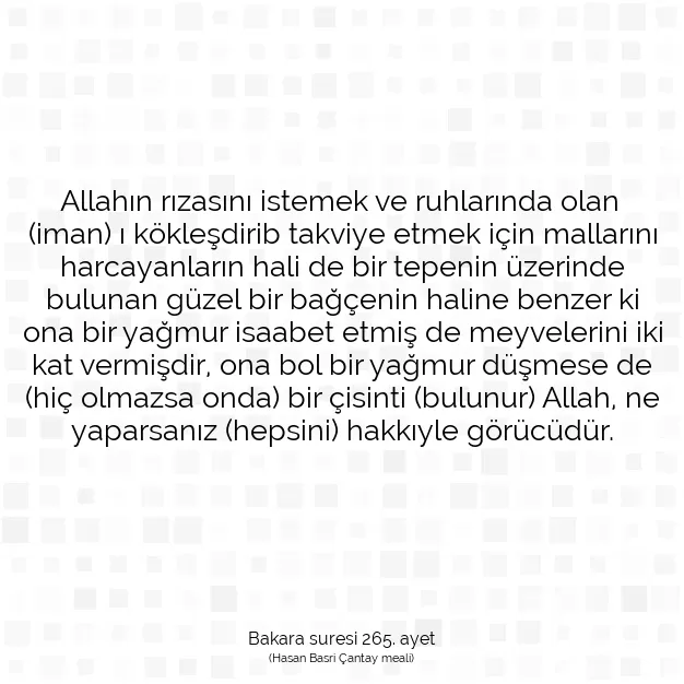 Ayetbul | Kuran Mealleri | Quran | Bakara suresi 265. ayet