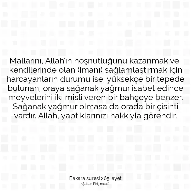 Ayetbul | Kuran Mealleri | Quran | Bakara suresi 265. ayet