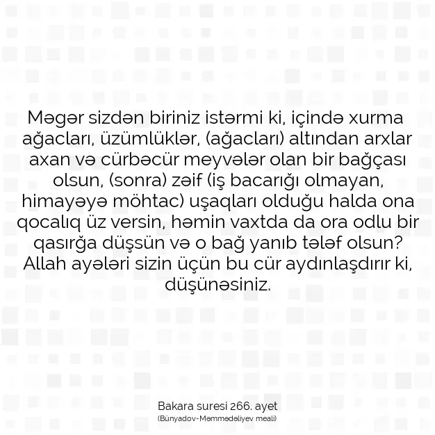 Ayetbul | Kuran Mealleri | Quran | Bakara suresi 266. ayet