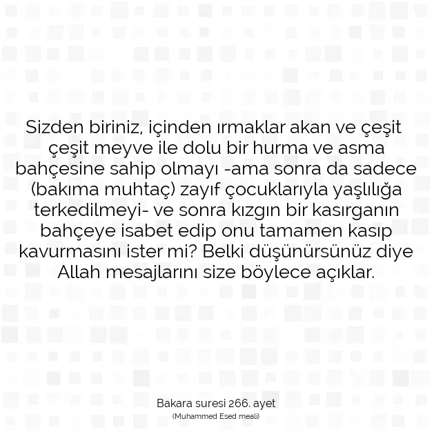 Ayetbul | Kuran Mealleri | Quran | Bakara suresi 266. ayet