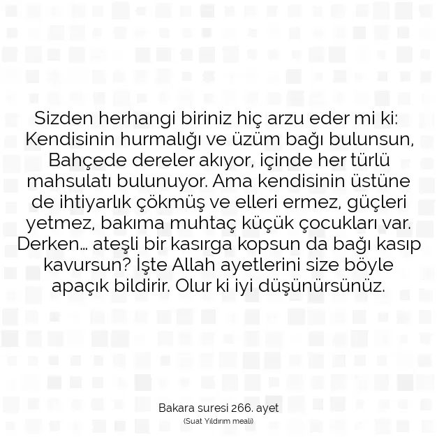 Ayetbul | Kuran Mealleri | Quran | Bakara suresi 266. ayet