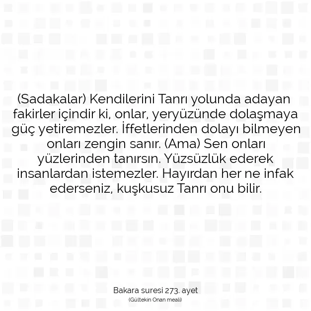 Ayetbul | Kuran Mealleri | Quran | Bakara suresi 273. ayet