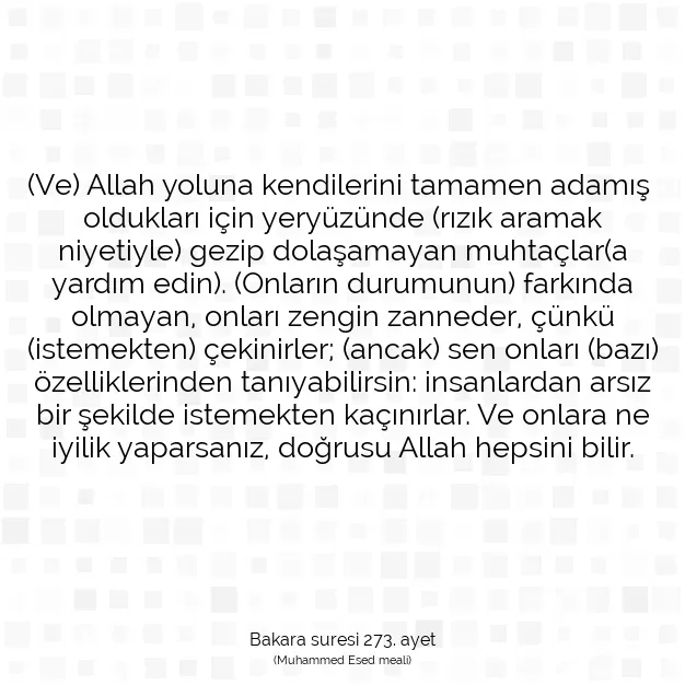 Ayetbul | Kuran Mealleri | Quran | Bakara suresi 273. ayet