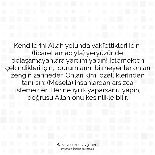 Ayetbul | Kuran Mealleri | Quran | Bakara suresi 273. ayet