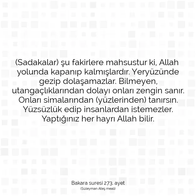 Ayetbul | Kuran Mealleri | Quran | Bakara suresi 273. ayet