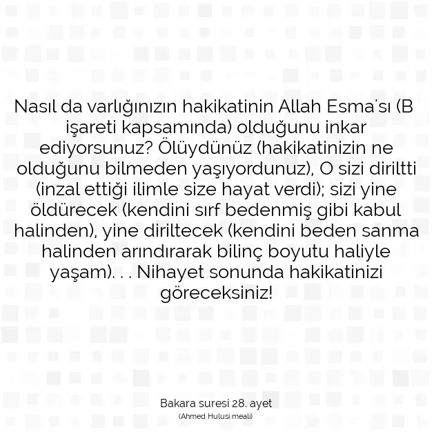 Ayetbul | Kuran Mealleri | Quran | Bakara suresi 28. ayet