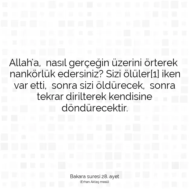 Ayetbul | Kuran Mealleri | Quran | Bakara suresi 28. ayet