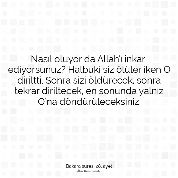 Ayetbul | Kuran Mealleri | Quran | Bakara suresi 28. ayet