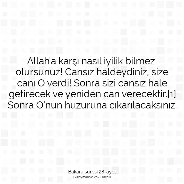 Ayetbul | Kuran Mealleri | Quran | Bakara suresi 28. ayet