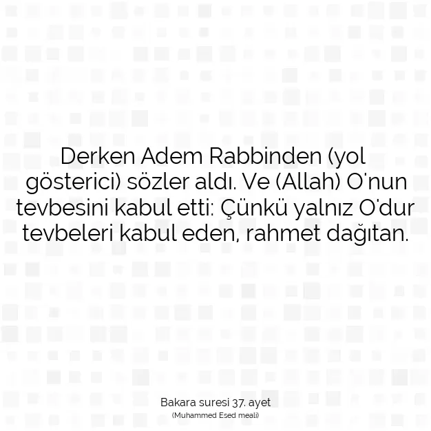 Ayetbul | Kuran Mealleri | Quran | Bakara suresi 37. ayet