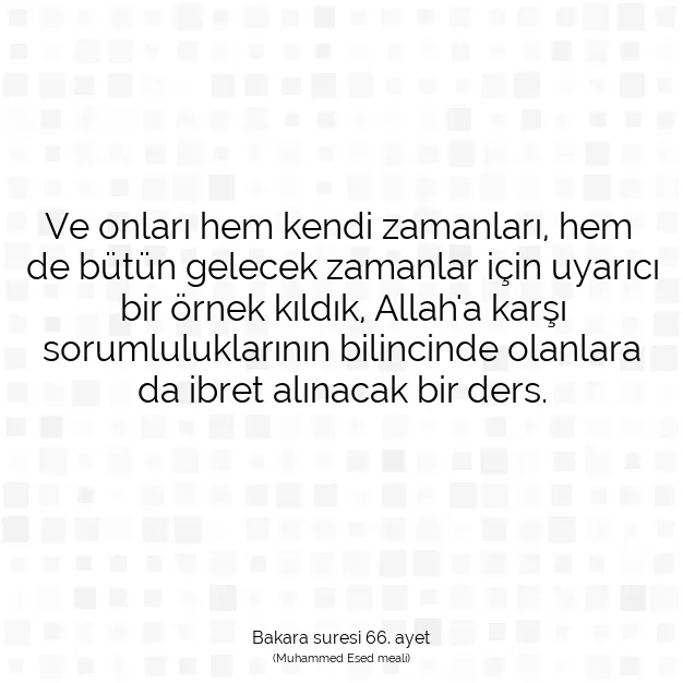 Ayetbul | Kuran Mealleri | Quran | Bakara suresi 66. ayet