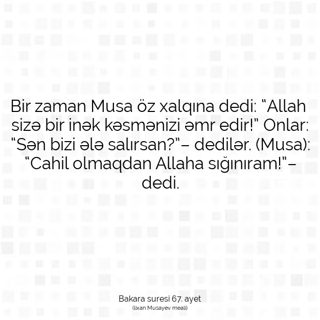 Ayetbul | Kuran Mealleri | Quran | Bakara suresi 67. ayet