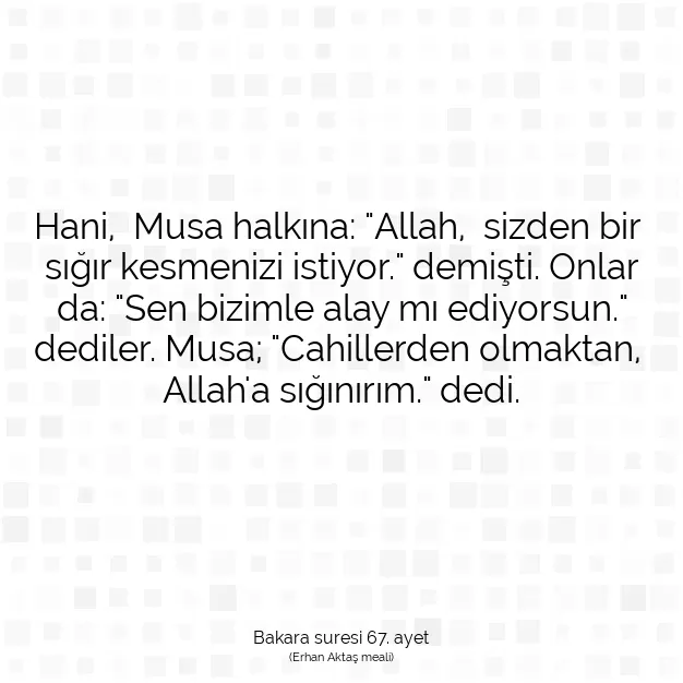 Ayetbul | Kuran Mealleri | Quran | Bakara suresi 67. ayet