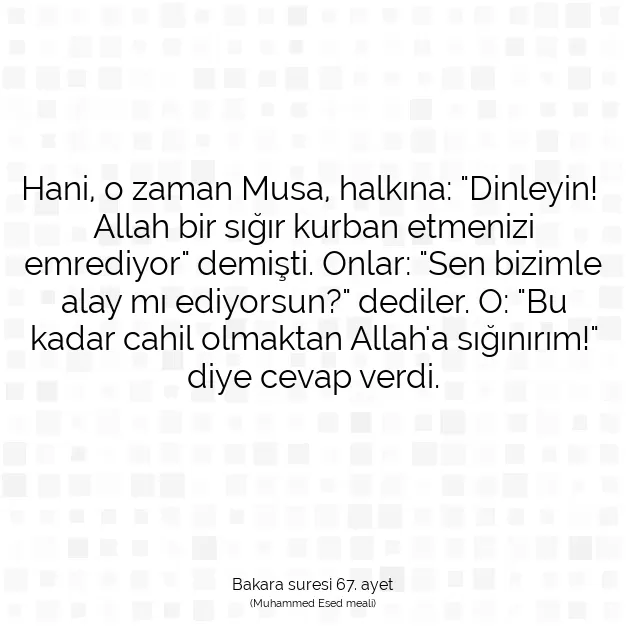 Ayetbul | Kuran Mealleri | Quran | Bakara suresi 67. ayet