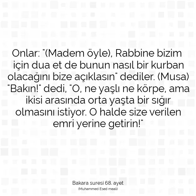 Ayetbul | Kuran Mealleri | Quran | Bakara suresi 68. ayet