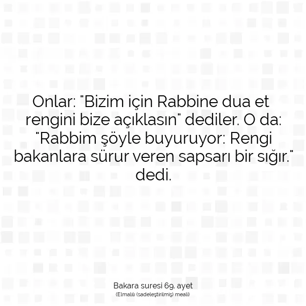 Ayetbul | Kuran Mealleri | Quran | Bakara suresi 69. ayet