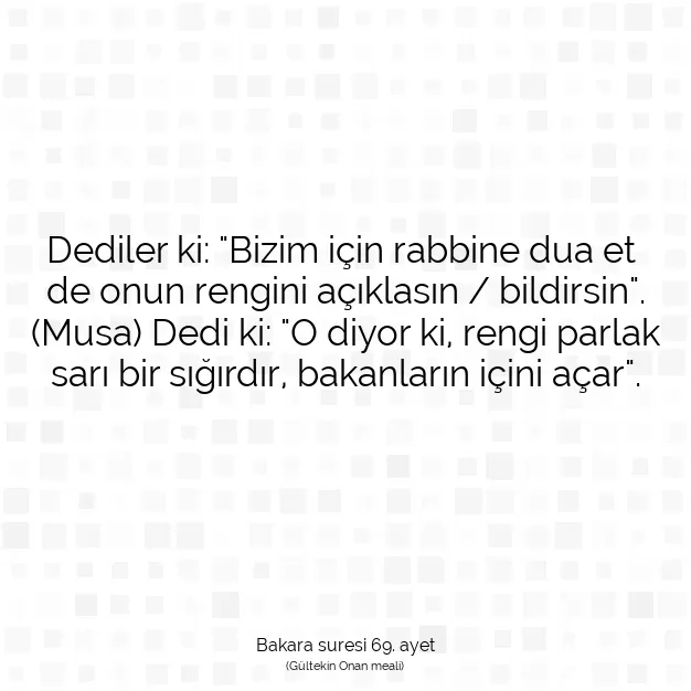 Ayetbul | Kuran Mealleri | Quran | Bakara suresi 69. ayet