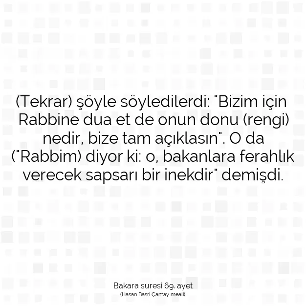 Ayetbul | Kuran Mealleri | Quran | Bakara suresi 69. ayet