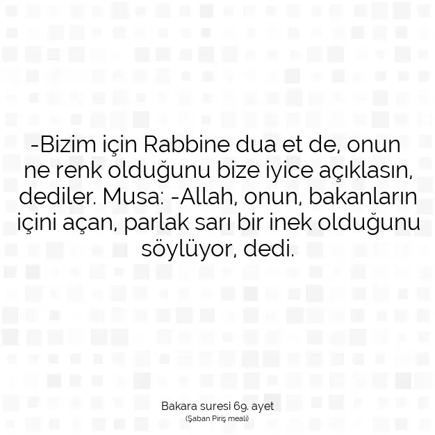 Ayetbul | Kuran Mealleri | Quran | Bakara suresi 69. ayet