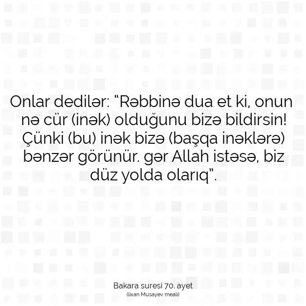 Ayetbul | Kuran Mealleri | Quran | Bakara suresi 70. ayet