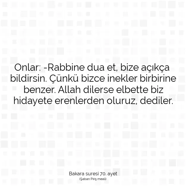 Ayetbul | Kuran Mealleri | Quran | Bakara suresi 70. ayet