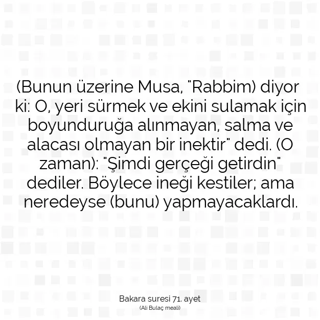 Ayetbul | Kuran Mealleri | Quran | Bakara suresi 71. ayet