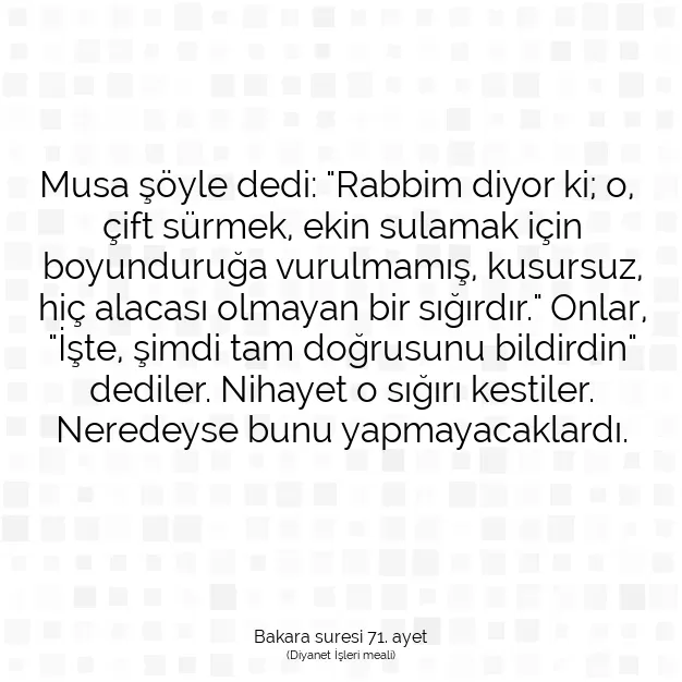 Ayetbul | Kuran Mealleri | Quran | Bakara suresi 71. ayet