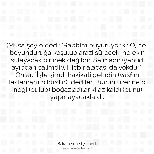 Ayetbul | Kuran Mealleri | Quran | Bakara suresi 71. ayet