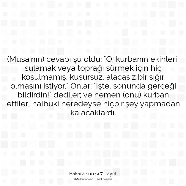 Ayetbul | Kuran Mealleri | Quran | Bakara suresi 71. ayet