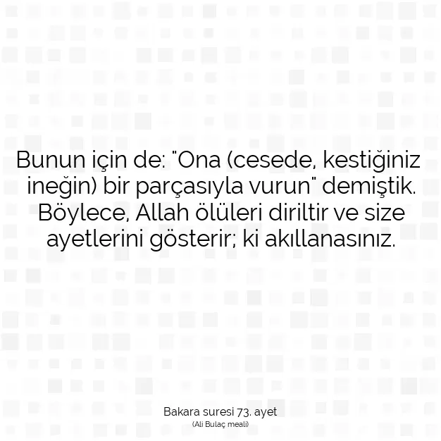 Ayetbul | Kuran Mealleri | Quran | Bakara suresi 73. ayet