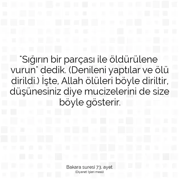 Ayetbul | Kuran Mealleri | Quran | Bakara suresi 73. ayet